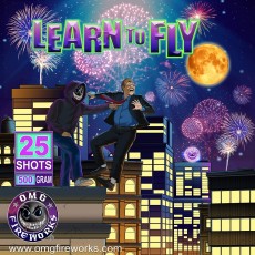 Learn To Fly 12/1